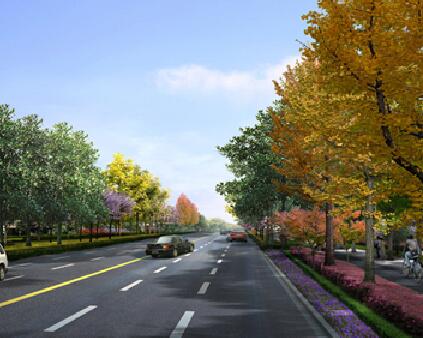 沱江新城城北片區和醫教園區道路、截污干管基礎設施項目